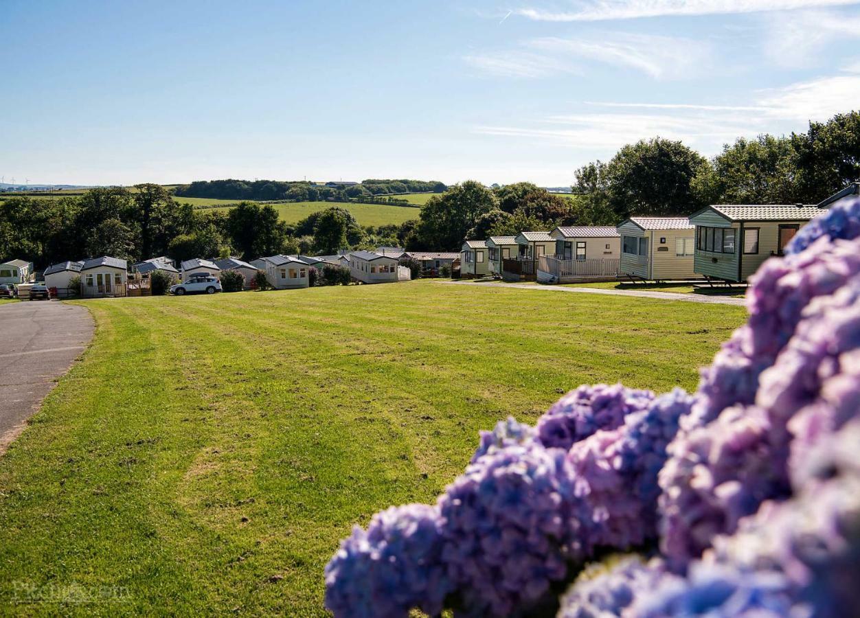 Trevella Holiday Park New Quay Eksteriør bilde
