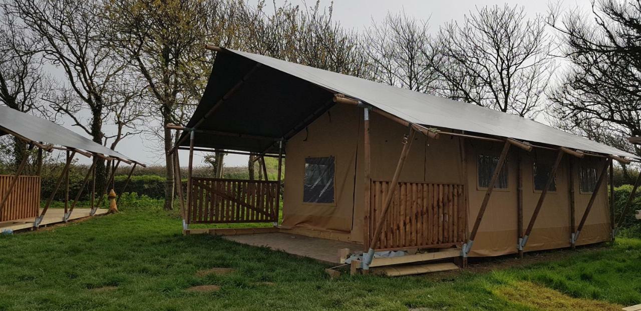 Trevella Holiday Park New Quay Rom bilde